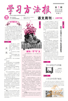 学习方法报语文周刊人教中考版