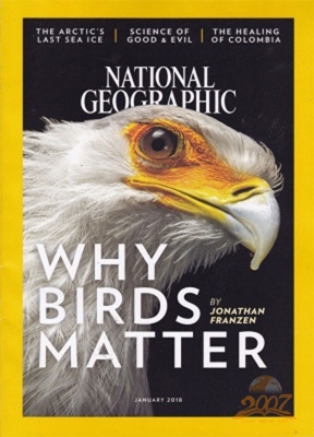 美国国家地理（英文原版）National Geographic