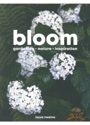 Bloom