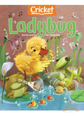 Ladybug小瓢虫英文原版